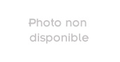 Bestron DBM 2000
